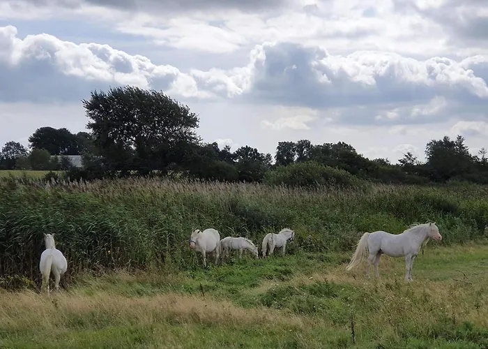 12 Person In Nordborg