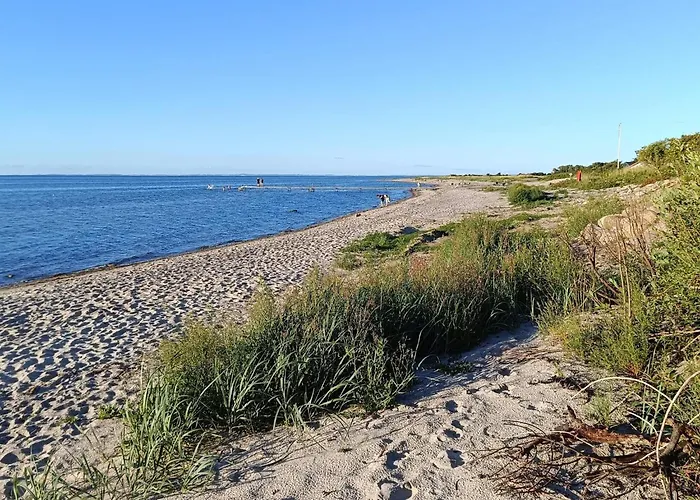 12 Person In Holiday home Nordborg